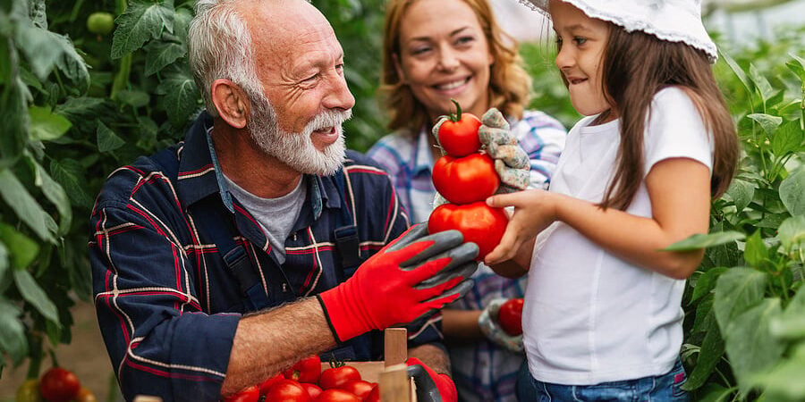 bigstock-Family-Working-Together-In-Gre-451053693